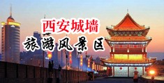 俄罗斯的大鸡巴的靠美国的大逼黄色录像中国陕西-西安城墙旅游风景区
